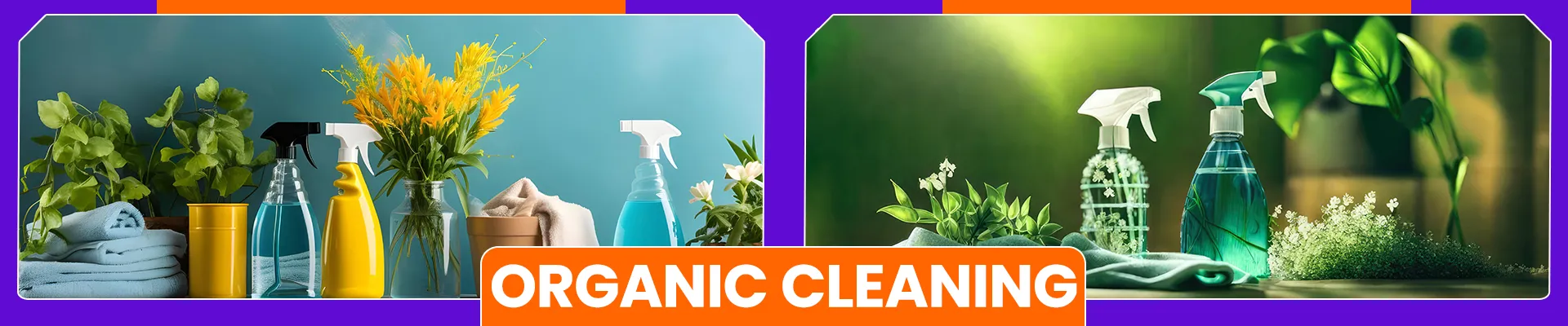 carpet cleaning in bronx, carpet cleaning in bronx, carpet cleaning bronx, carpet cleaners in bronx, carpet cleaners in bronx, commercial carpet cleaning, commercial carpet cleaning in bronx, bronx rug cleaners, rug cleaning services in bronx, same day carpet cleaning, same day rug cleaning
