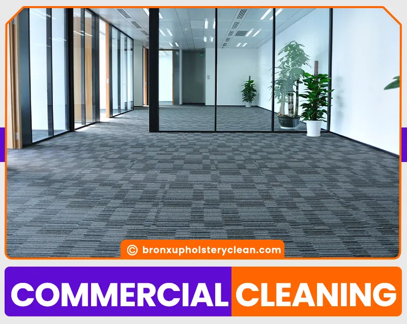 carpet cleaning in bronx, carpet cleaning in new york, carpet cleaning bronx, carpet cleaners in bronx, carpet cleaners in new york, commercial carpet cleaning, commercial carpet cleaning in bronx, bronx rug cleaners, rug cleaning services in bronx, same day carpet cleaning, same day rug cleaning