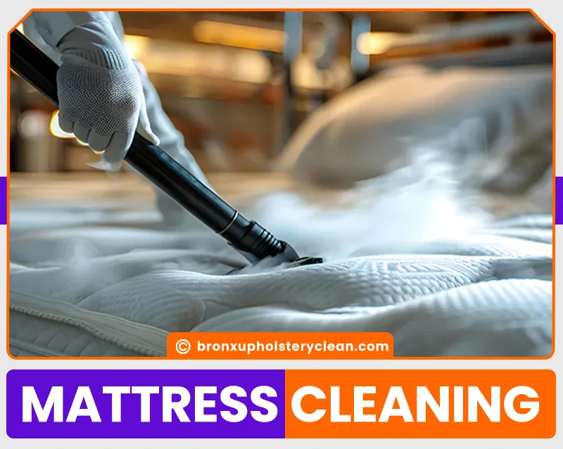 carpet cleaning in bronx, carpet cleaning in new york, carpet cleaning bronx, carpet cleaners in bronx, carpet cleaners in new york, commercial carpet cleaning, commercial carpet cleaning in bronx, bronx rug cleaners, rug cleaning services in bronx, same day carpet cleaning, same day rug cleaning